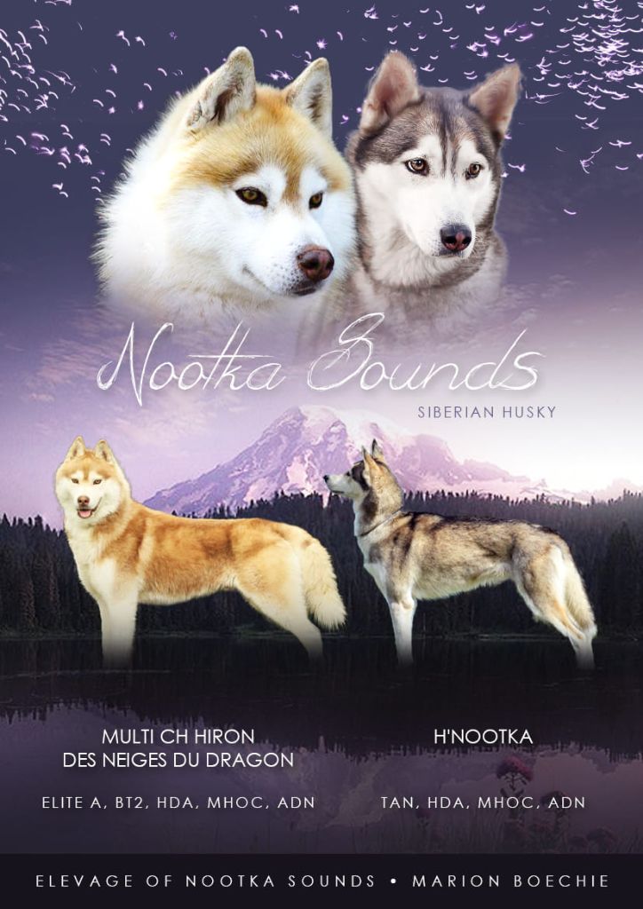 Of Nootka Sounds - Nouvelle portée !!! 2019